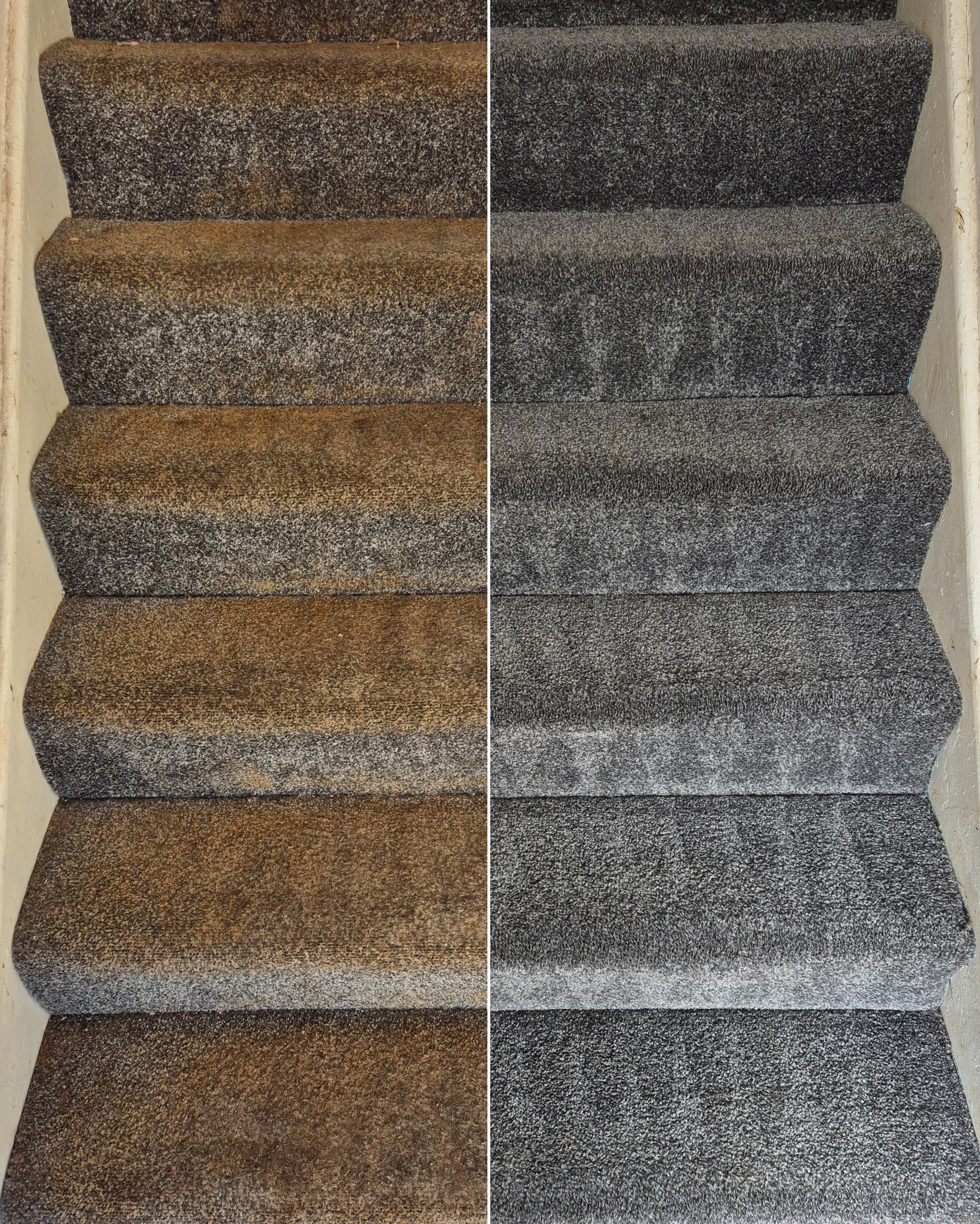 Floor restore and more result