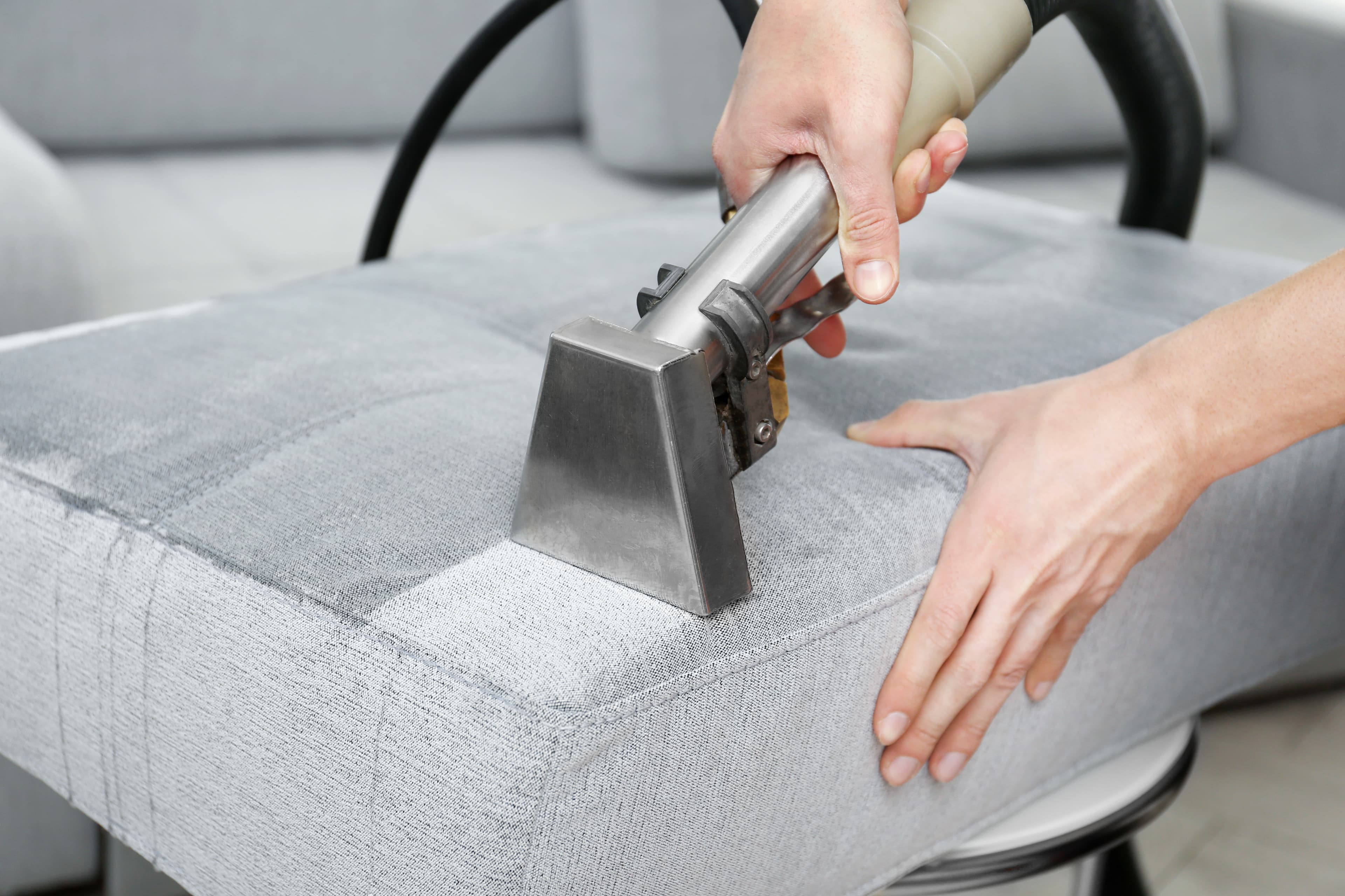 Professional upholstery and carpet cleaning